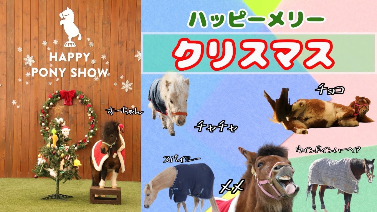 ハッピーメリークリスマス】チョコ君、チャチャ、ウインドインハーヘア