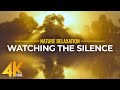 Watching the Silence - Nature Relaxation Video - Peaceful Atmosphere of Pond in 4K UHD