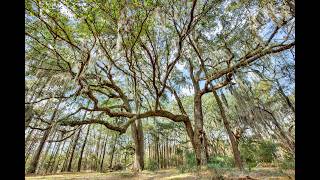 Savannah GA Large Buildable Marsh Front Lots up to 1.5 Acre Savannah GA Large Buildable Marsh Front Lots up to 1.5 Acre