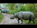 Kaziranga National Park || Jeep Safari || UNESCO World Heritage site in Assam