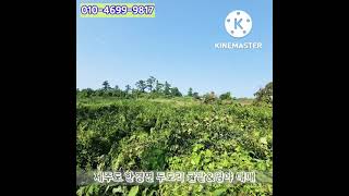 [NO.8]제주시 한경면 두모리 과수원, 임야 매매. 제주도 투자용 부동산 추천 [카카오부동산노주환010-4699-9817] #shorts