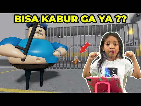 Video: Adakah kucing perlu diambil secara berpasangan?