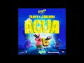 J Balvin Tainy Agua Instrumental Music Version mp3