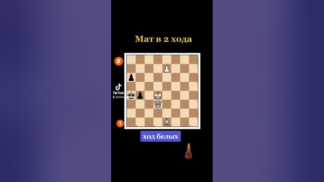 Шахматная задачка #chess #шахматы #chorts - YouTube
