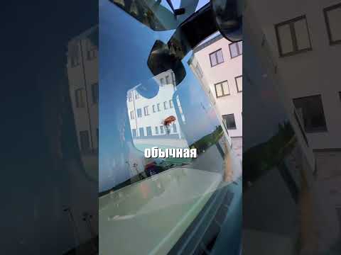 Как этот жук вообще остался цел после такого удара? 😳🪲💥