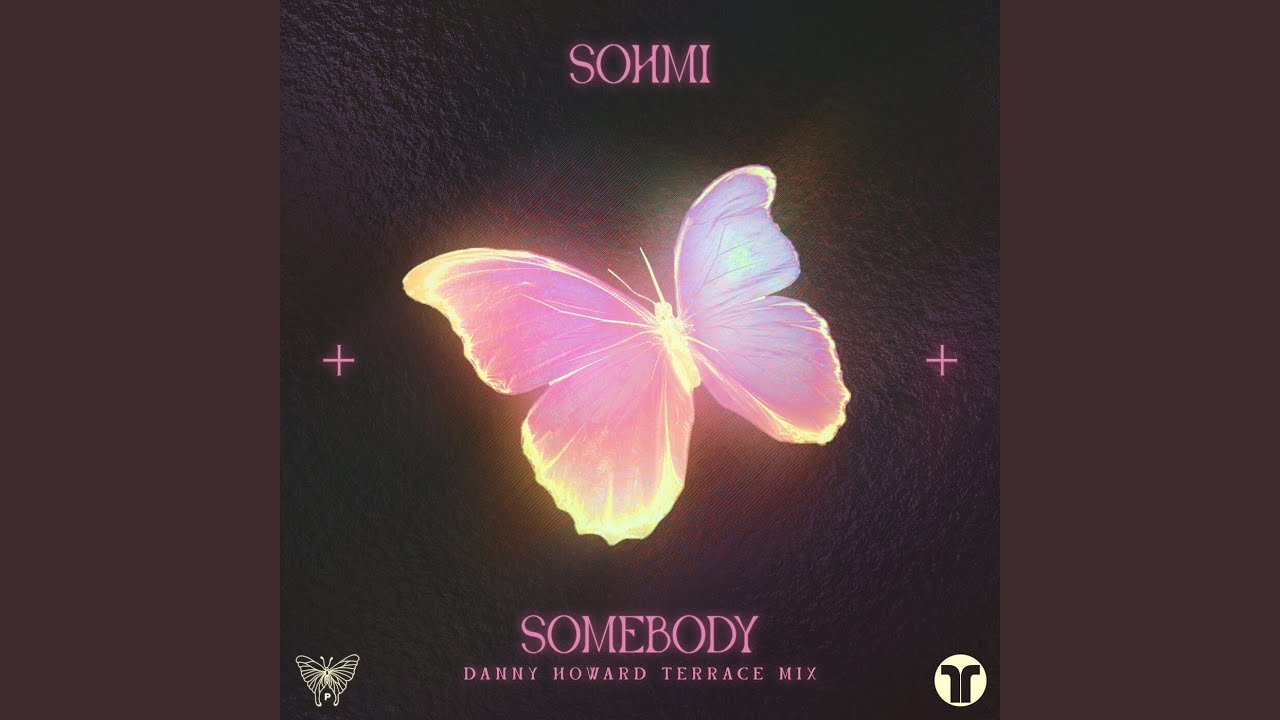 Somebody (Danny Howard Terrace Mix)