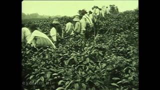 Download Lagu Thee-onderneming van de 'N.V. Het Nederlandsch Ind. Landsyndicaat' Pematang Siantar S.O.K. MP3 Download Lagu Thee-onderneming van de 'N.V. Het Nederlandsch Ind. Landsyndicaat' Pematang Siantar S.O.K. MP3