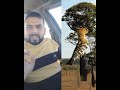كيف تحصل على حكمة شوبيك لوبيك من عود طائر الهدهد و تصبح ملياردير وتحقق المستحيل في حياتك 