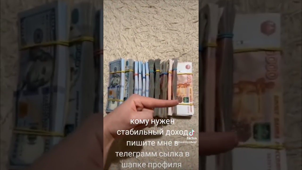 пищит мне в телеграмм