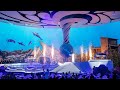 SeaWorld Abu Dhabi | World Largest Aquarium