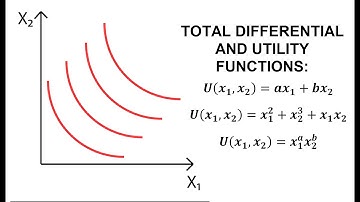 Specific Utility Function and Total Differentials