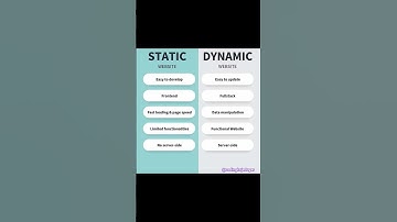 Static vs Dynamic Websites: Which One is RIGHT for You?