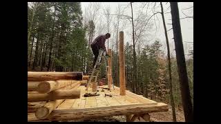 Log Cabin Build- Butt and Pass Log Cabin Method- Day 25