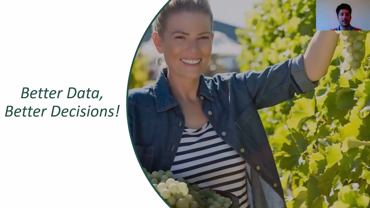 Optimize pesticides treatments in the vineyard