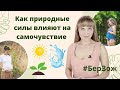 Здоровый образ жизни во время беременности | Как природные силы влияют на самочувствие