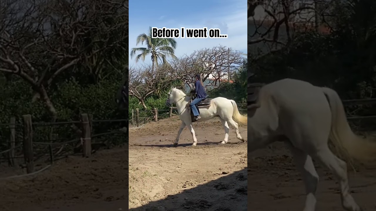 I found a young horse riding trainer !