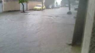 vid0204.3gp