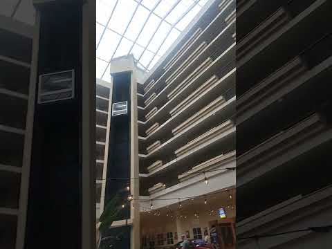 De fiesta Arenia Casino