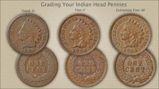 Grading Indian Head Pennies