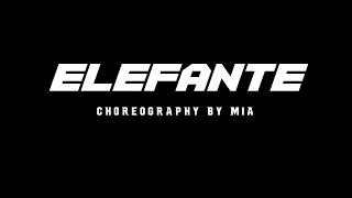 Itsmia Choreography| Elefante - Nk