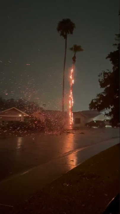 Lightning Strike Sets Tree On Fire In Scottsdale, AZ During Storms