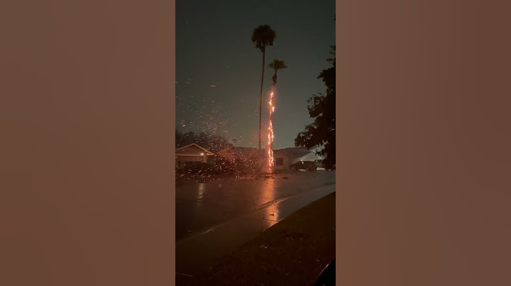 Lightning Strike Sets Tree On Fire In Scottsdale, AZ During Storms