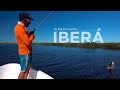 Pesca de dorados "Lomo Negro" en Esteros del Iberá, Corrientes con Matías Jalil
