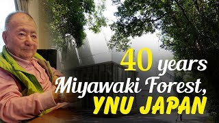 40 years old Miyawaki forest in Yokohama National University by Prof (Dr.) Akira Miyawaki