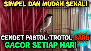 How To Care For Young Cendetpastol To Be Free From Traffic Jams And Stress In Daily Life And Alw