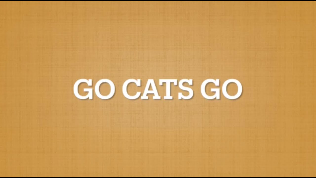 go cats go - YouTube