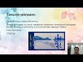 Уран бичлэг гэж юу вэ?