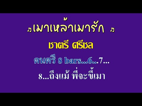 ♬เมาเหล้าเมารัก ชาตรี ศรีชล #karaoke #คาราโอเกะ