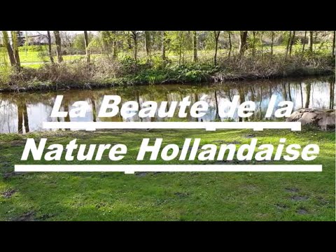 Vidéo: Comment Décorer Des Vacances Dans La Nature