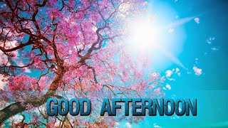 Good Afternoon WhatsApp Status, Messages, Status, Images, Wishes, Quotes, Photo #goodafternoon screenshot 3