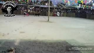 🐴👑Mayapan,Yucatan2018🐎--------()🐂