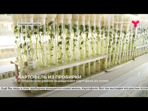 В Упоровском районе
