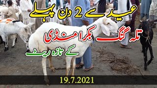 Eid Se 2 Day Pahle Talagang bakra Mandi 2021 ||dumba mandi || Maweshi mandi || Sair Sapata Pakistan