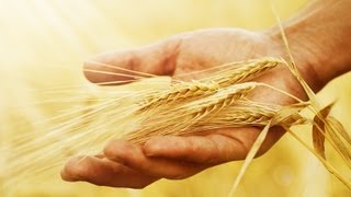 Natural Health Tip #6 - Eat Sprouted Grains