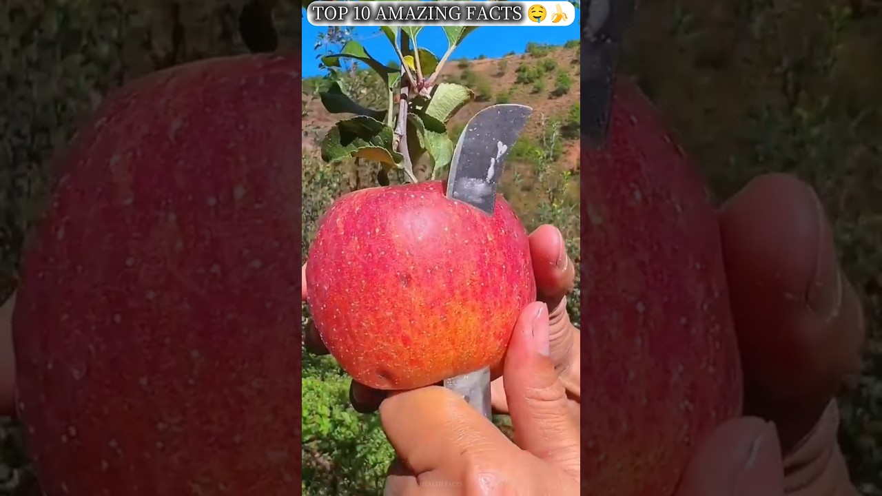 Top 10 amazing facts about food 🍒🍇 