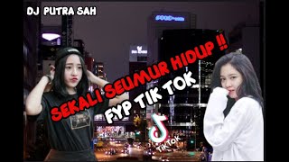 DJ SEKALI SEUMUR HIDUP FULL BASS FYP TIK TOK 2022