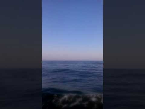 موج شدید دریا 