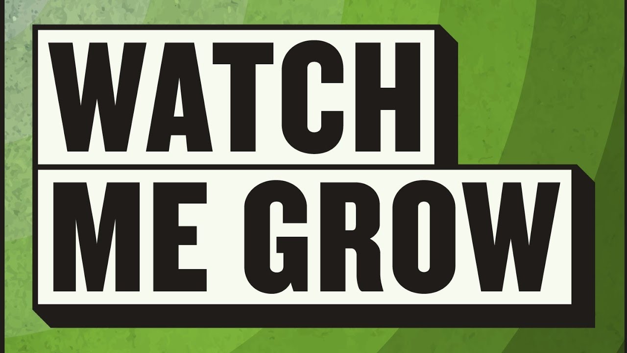 Zootly Cannabis Cup Terple Week 3