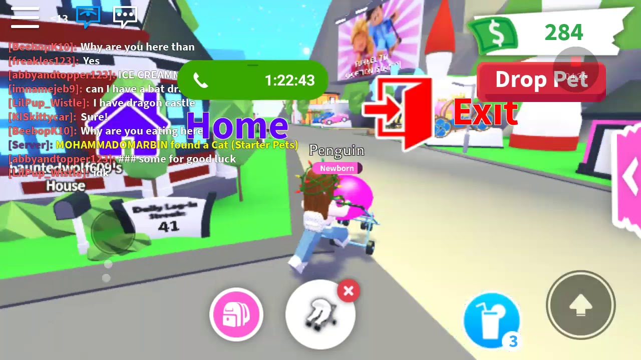 How Take care of pet - YouTube