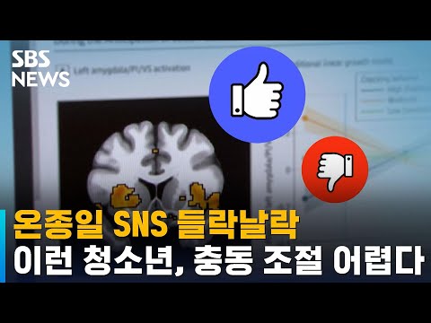   온종일 SNS 들락날락 이런 청소년 충동 조절 어렵다 SBS