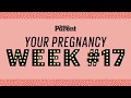 Your pregnancy: 17 weeks