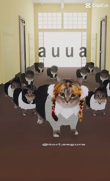 Uiiaiu cat girl😭