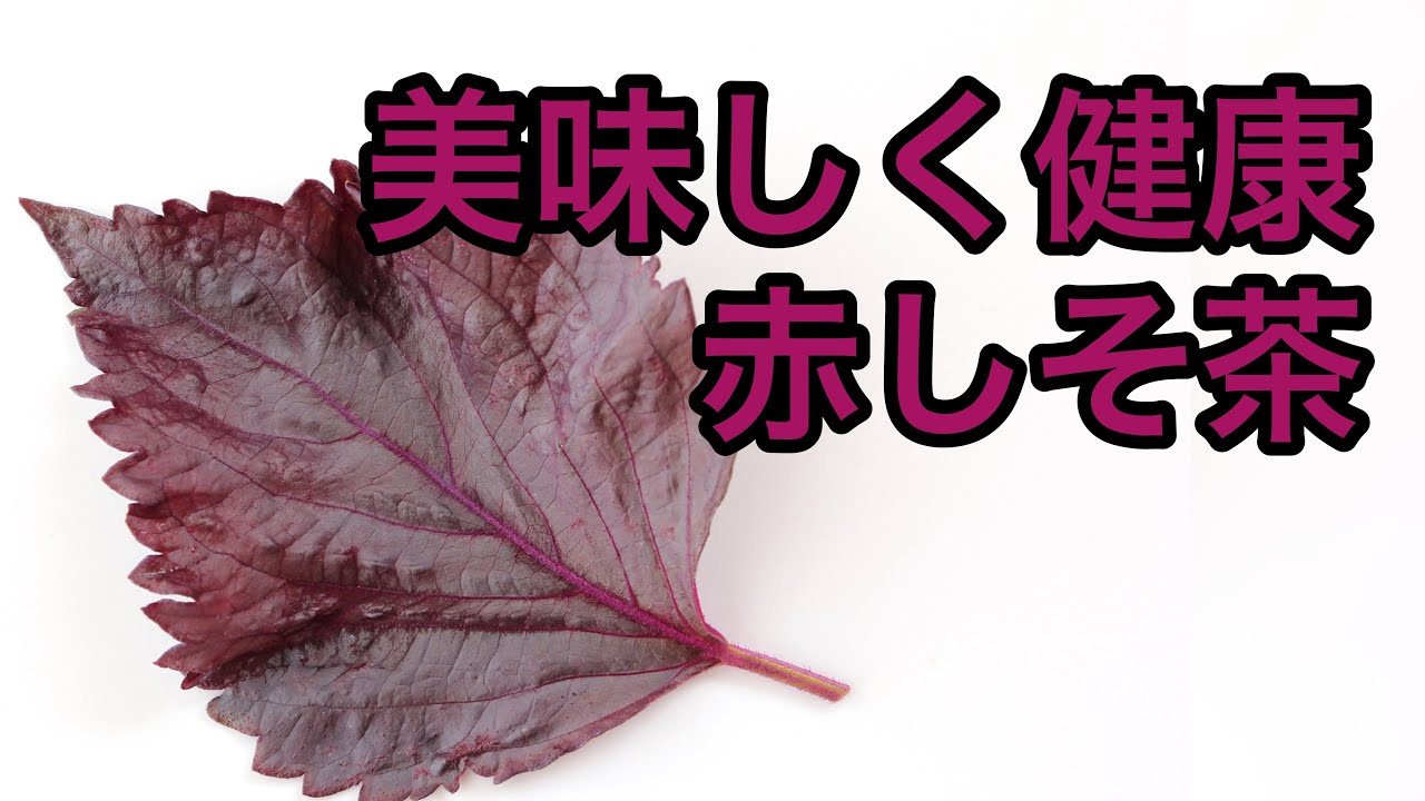 美味しい健康茶の淹れ方 赤しそ茶編 Introduction and explanation of red perilla tea - YouTube