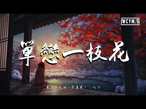 夏了个天呐 (朴昱美) & 七夕 - 单恋一枝花(翻自 张宇)【動態歌詞/Lyrics Video】