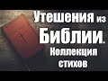 Утешения из Библии. Стихи из Ветхого и Нового Завета. Места писания для ободрения