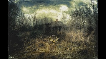 STALKER Autumn Aurora 2: Menu Theme 4